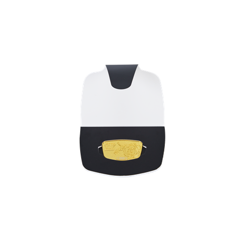 250731  250808 164018